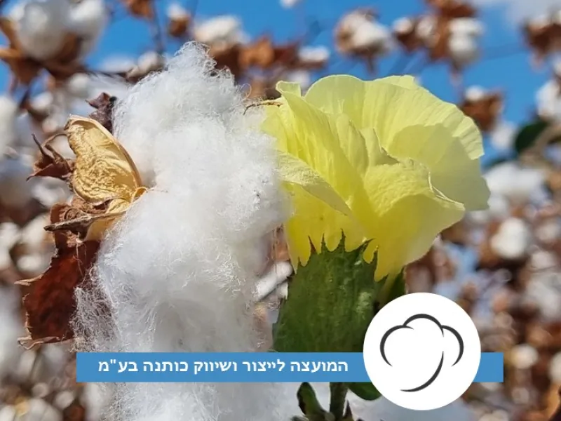 חוברת סיכום עונה