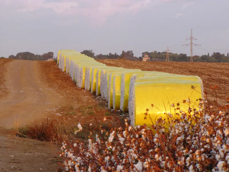 גליליות בשטח