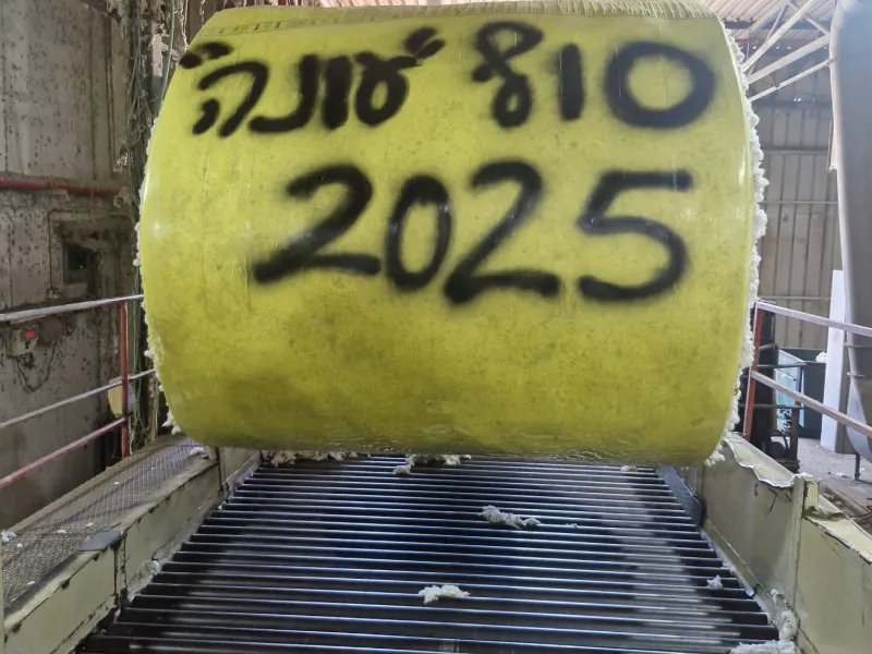 סוף עונת ניפוט בדרום